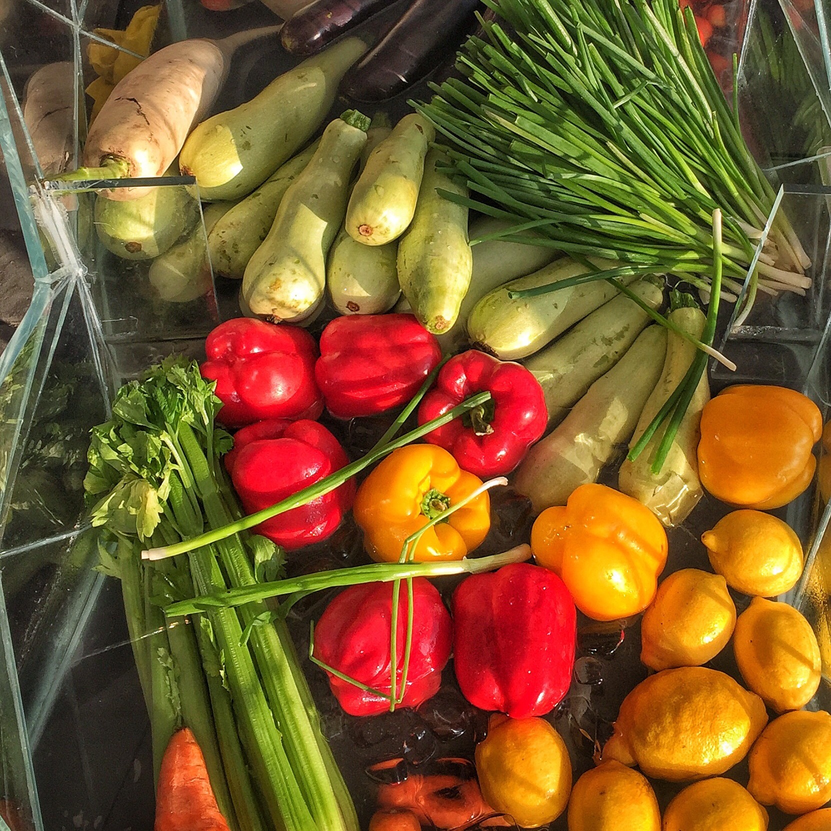 fresh-vegetable-mix-2024-09-22-05-46-52-utc